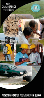 Disaster Management Brochure
